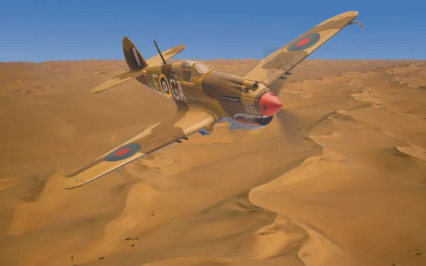 the Curtiss P-40 was easy to maintain and operate and relatively cheap to produce. Crucially