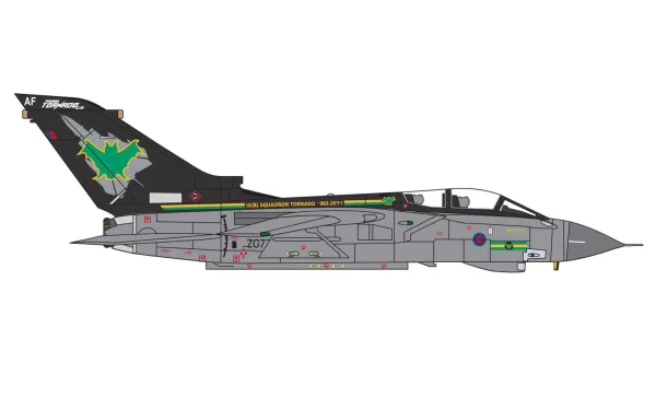 it is fitting that No.IX(B) Squadron would have the honour of being one of the last to operate the Tornado