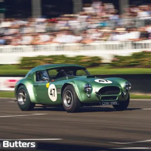 Shelby Cobra 289 - COB289 - Bill Shepherd <p>This famous green Shelby Cobra is a well-known regular on the UK historic racing scene