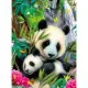 Jigsaw Puzzle - 300 Pieces - Charming Panda