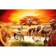 Jigsaw Puzzle - 3000 Pieces : Maasai's Proud