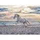 Horse on the Beach