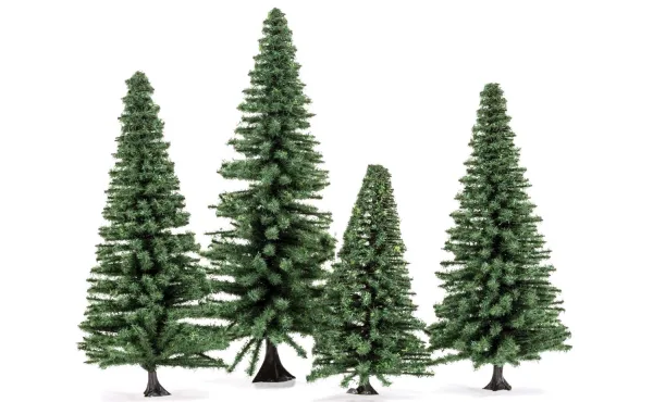 Large Fir Trees Large Fir Trees