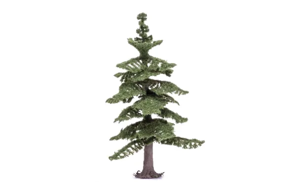 Medium Nordic Fir Tree Medium Nordic Fir Tree