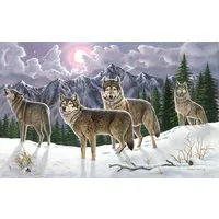 Painting By Numbers Wolves