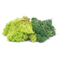 Hornby Lichen - Green Mix OO Gauge