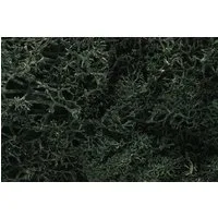 Woodland Scenics Dark Green Lichen