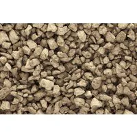 Medium Brown Talus