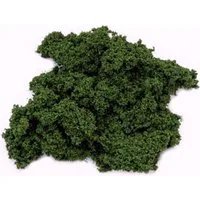 Javis Dark Green Hedge Foliage 20g