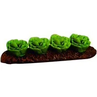 Row of 4 Cauiliflowers for 12th Scale Dolls House