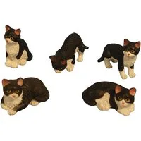 Black and White Cats 5 Assorted for 12th Scale Dolls House