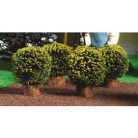 Round Box Bushes x 4 for 12th Scale Dolls House