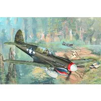 Trumpeter 1/32 Scale P-40N War Hawk Model Kit