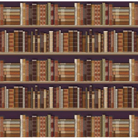 Traditional Bookcase Wallpaper for 12th Scale Dolls House