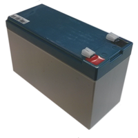 12V 7Ah Rechargeable Lead Acid Battery