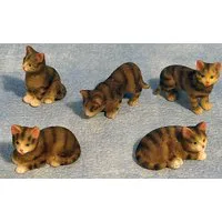 Tabby Cats 5 Assorted for 12th Scale Dolls House