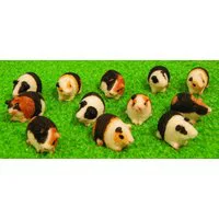 12 Assorted Guinea Pigs for 12th Scale Dolls House