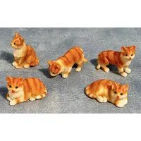 Ginger and White Cats 5 Assorted for 12th Scale Dolls House