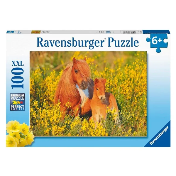 Shetland Pony XXL 100 Piece Puzzle