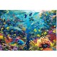 Jigsaw Puzzle - 9000 Pieces - Underwater World