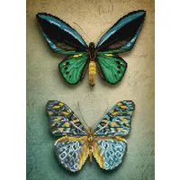 Diamond Dotz Antique Butterflies Diamond Painting Kit