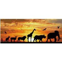 Diamond Dotz African Sky Diamond Painting Kit