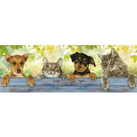 Diamond Dotz Hang In There Diamond Painting Kit