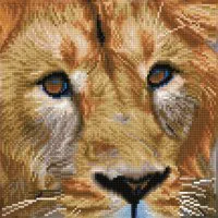 Diamond Dotz Serengeti Magic Diamond Painting Kit