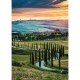 Val d'Orcia