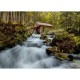 Mill at the Golling waterfall