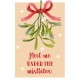 Meet me under the mistletoe