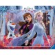 Frame Puzzle - Frozen II